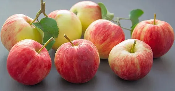 Foods That Fight Mouth Bacteria Foods That Fight Mouth Bacteria