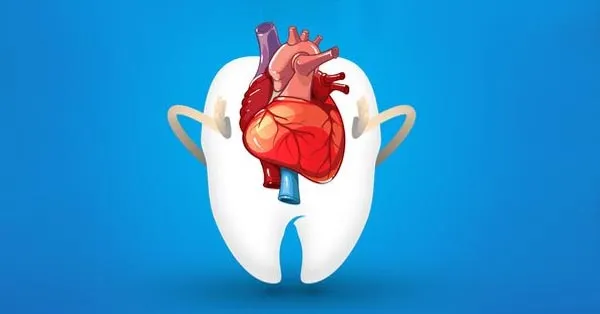 How Oral Health And Heart Disease Are Connected How Oral Health And Heart Disease Are Connected
