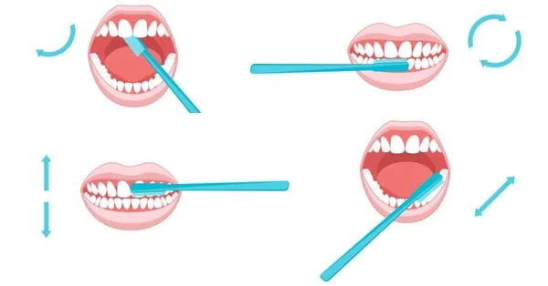 How to Properly Brush your Teeth How to Properly Brush your Teeth